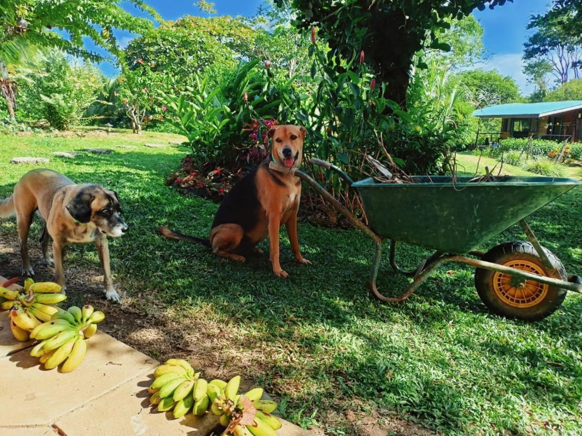 El Caribeo Villa Bocas del Toro Buitenkant foto