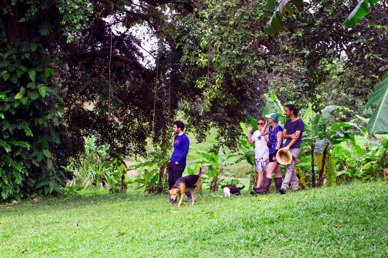 El Caribeo Villa Bocas del Toro Buitenkant foto